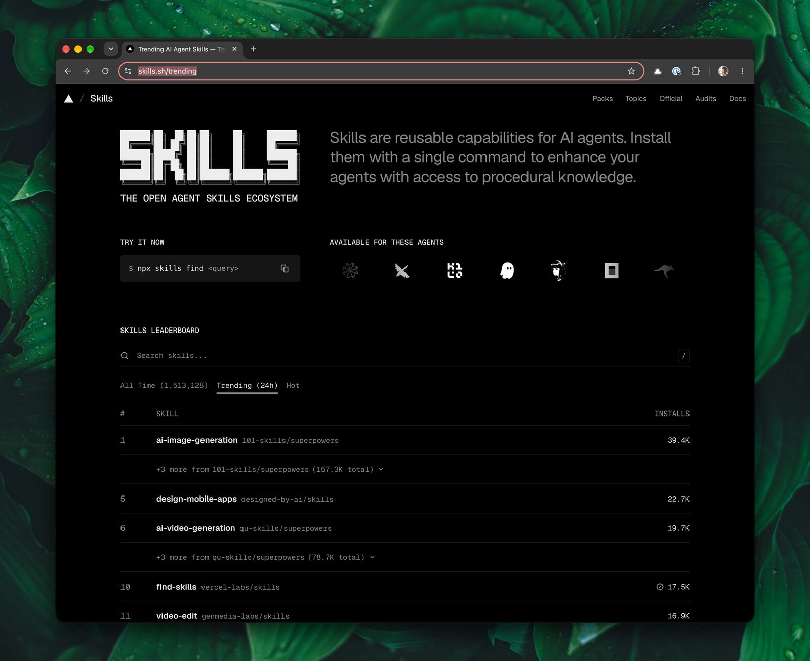 Le site skills.sh affiche une liste des skills mis en avant ces 24 dernières heures.